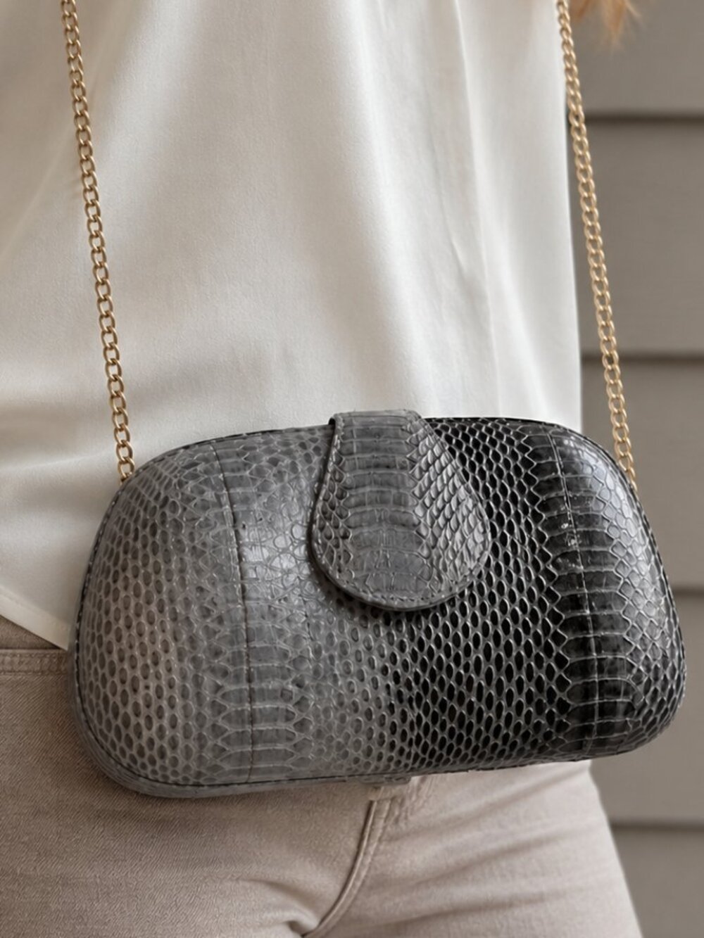 Vintage AUTHENTIC Snake Skin with Gold Chain | Magnetic Clasp | Inside Pocket
